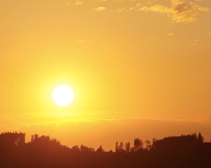 Bildschirmfoto 2018-12-11 um 15.39.02.png