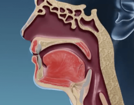 Bildschirmfoto 2019-05-10 um 18.41.59