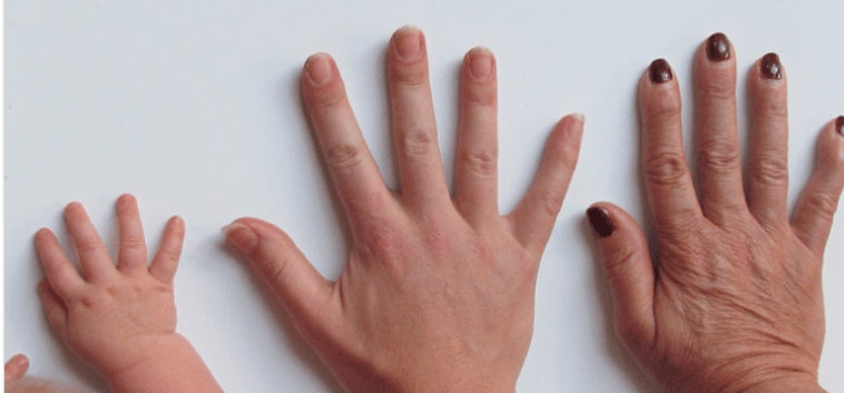 Bildschirmfoto 2019-10-12 um 03.19.22