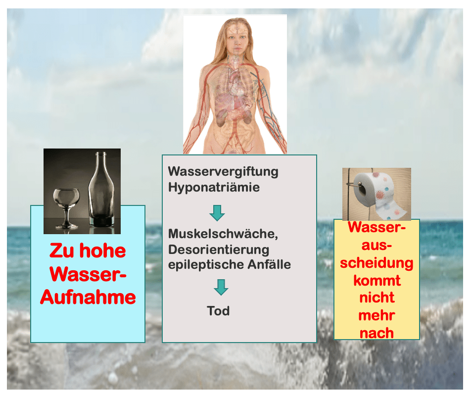 Dieses Bild hat ein leeres alt-Attribut; sein Dateiname ist bildschirmfoto-2022-05-25-um-10.21.48.png